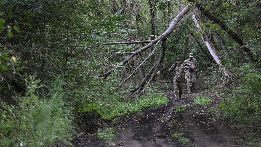 Стало известно о проблемах со снабжением ВСУ в Сумской области
Стало известно о проблемах со снабжением ВСУ в Сумской области